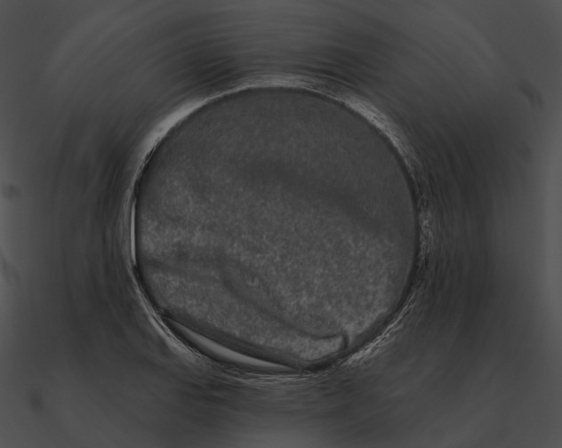 X0000090501127200708031203