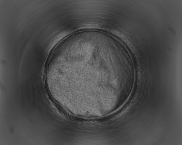 X0000090501129200708031203