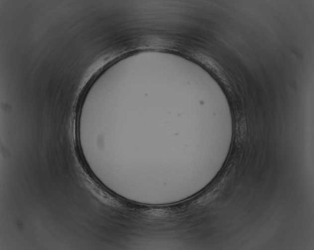 X0000090501130200708031203