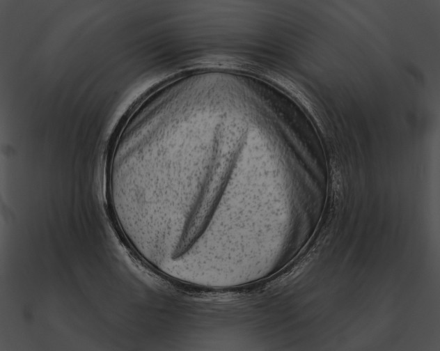 X0000090501131200708031203