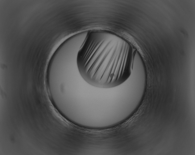 X0000090501132200708031203