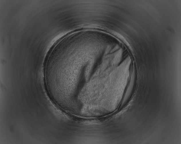 X0000090501133200708031203