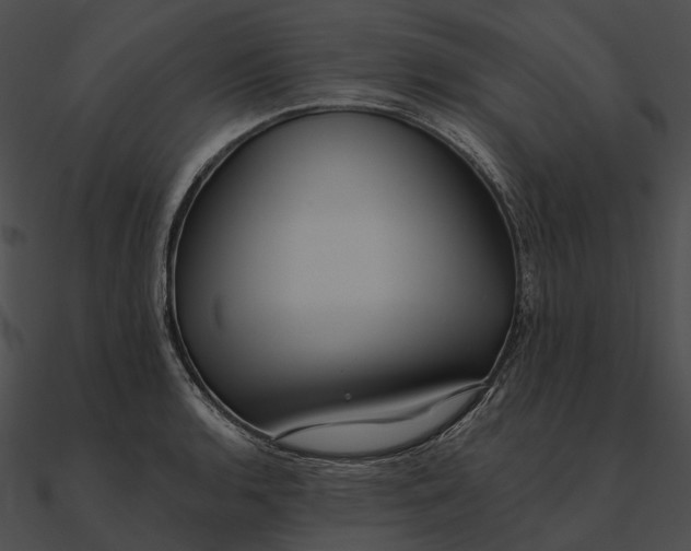 X0000090501136200708031203