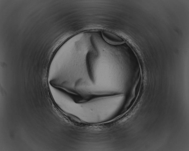 X0000090501137200708031203