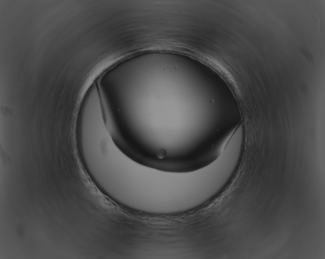 X0000090501138200708031203