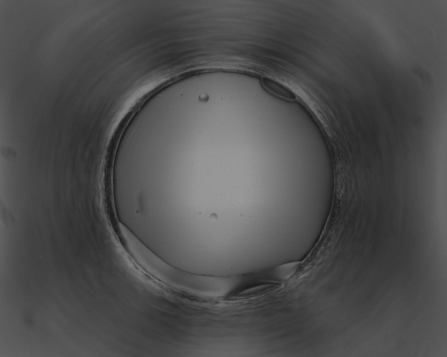 X0000090501139200708031203