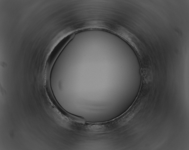 X0000090501140200708031203