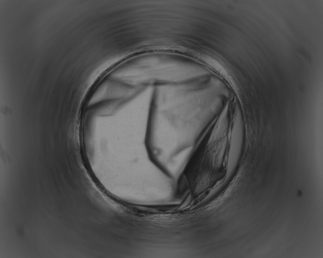 X0000090501141200708031203