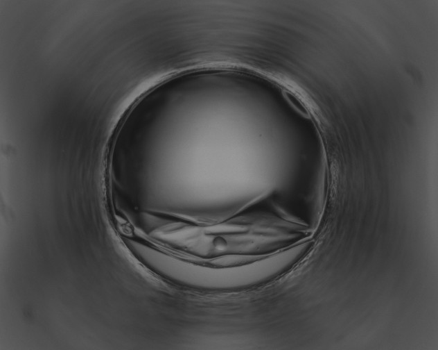 X0000090501142200708031203