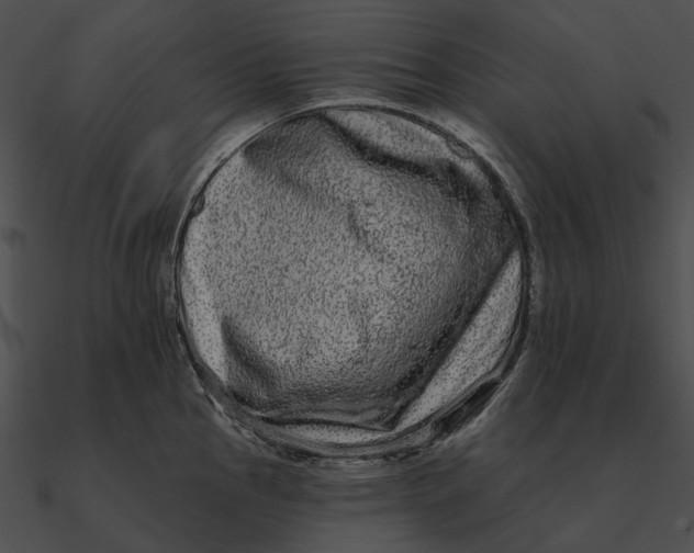 X0000090501145200708031203