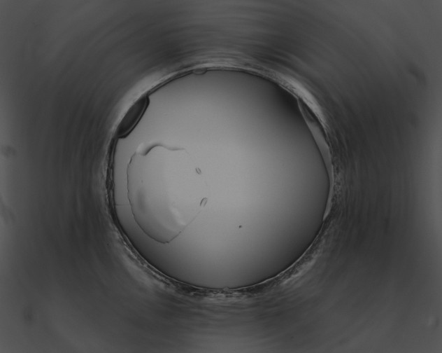 X0000090501146200708031203