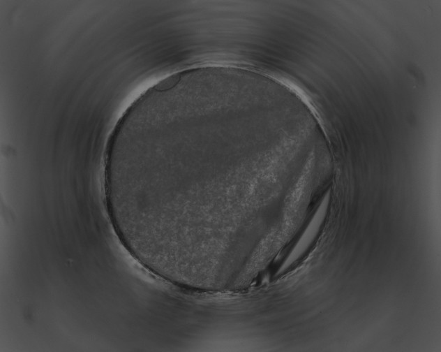 X0000090501147200708031203