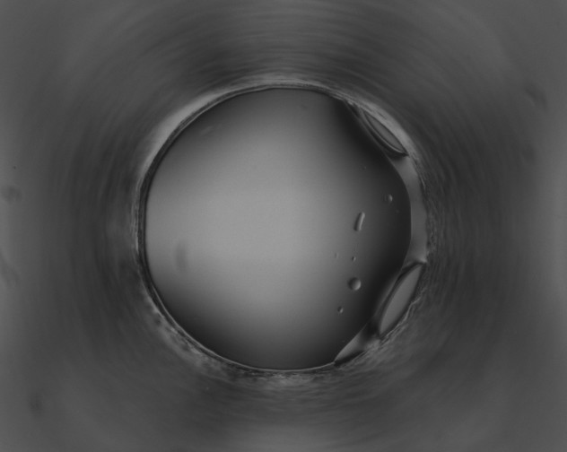 X0000090501148200708031203