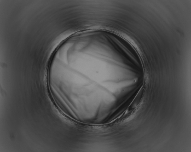 X0000090501149200708031203