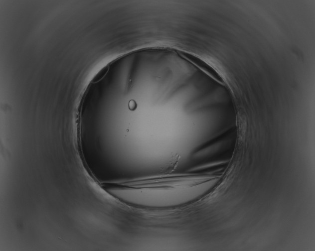 X0000090501151200708031203