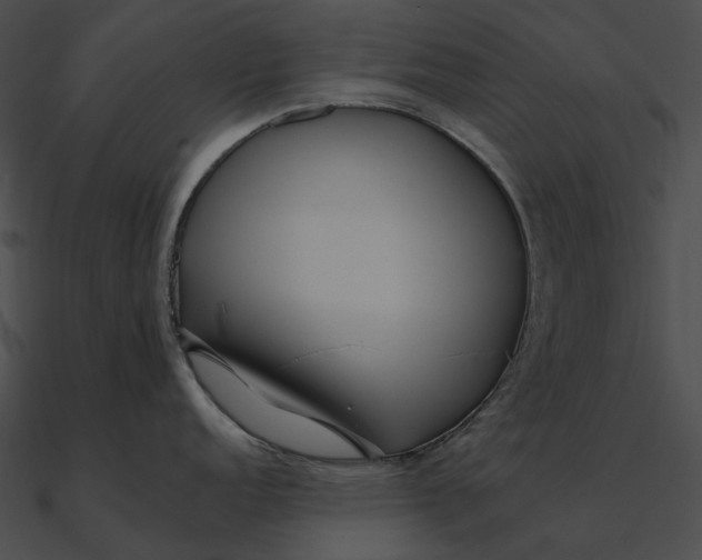 X0000090501152200708031203