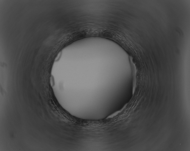 X0000090501153200708031203