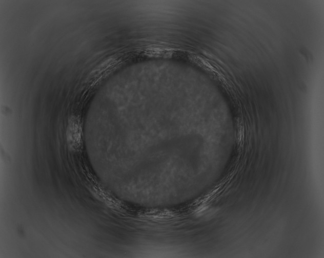 X0000090501154200708031203