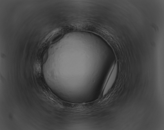 X0000090501155200708031203