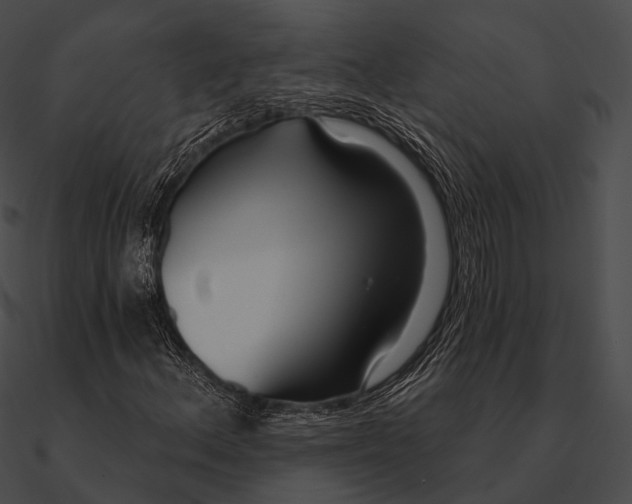 X0000090501156200708031203