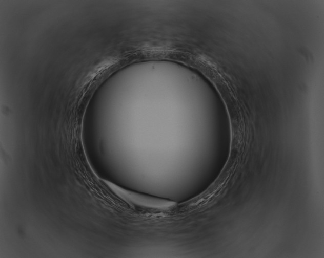 X0000090501157200708031203