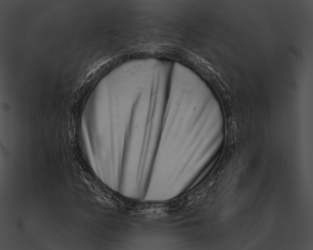 X0000090501158200708031203