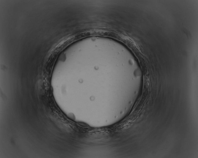 X0000090501159200708031203