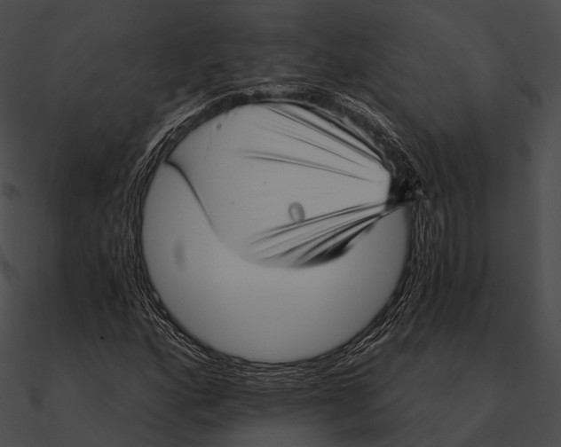 X0000090501160200708031203