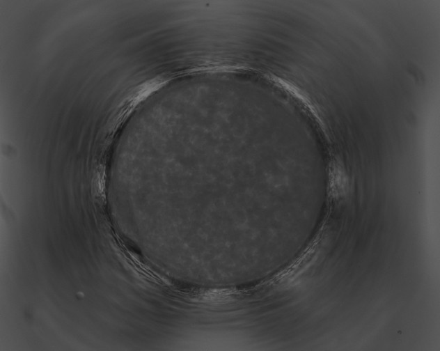 X0000090501161200708031203