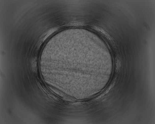 X0000090501162200708031203