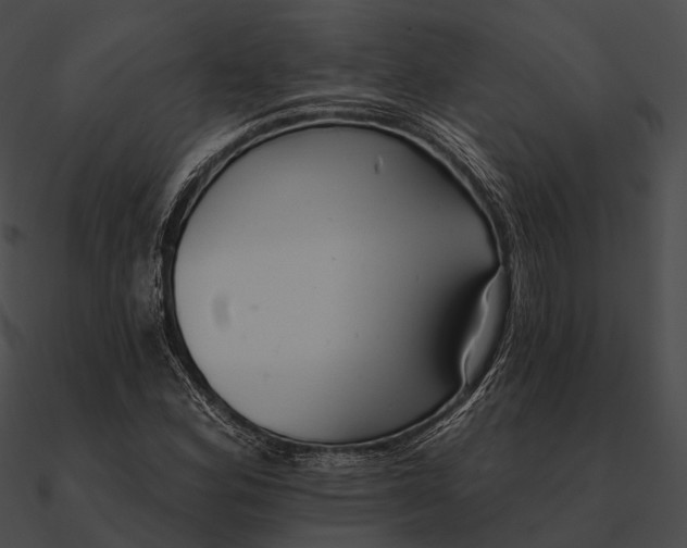 X0000090501164200708031203