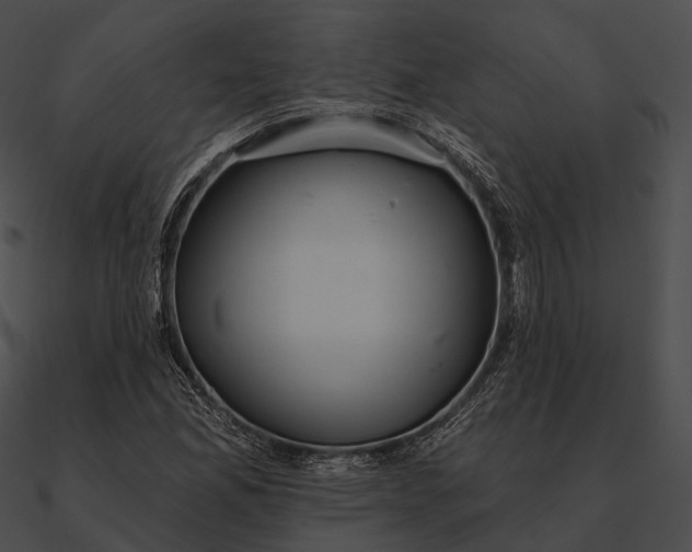 X0000090501165200708031203