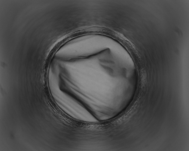 X0000090501166200708031203