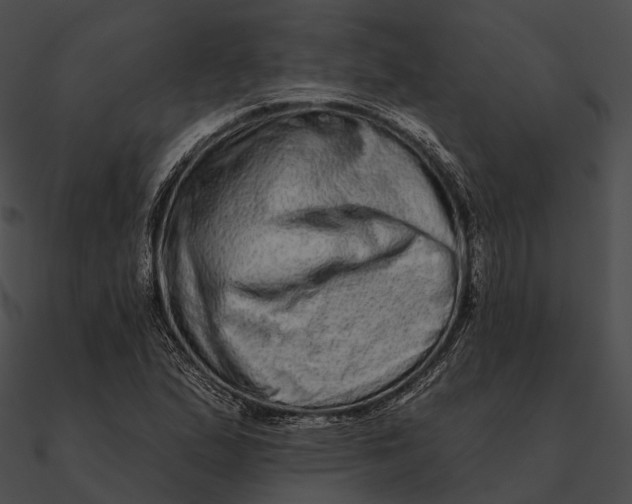 X0000090501167200708031203