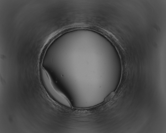 X0000090501168200708031202