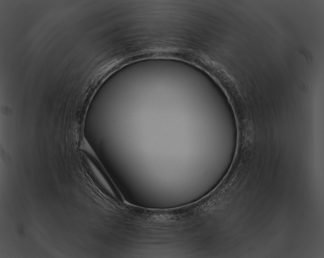 X0000090501169200708031202