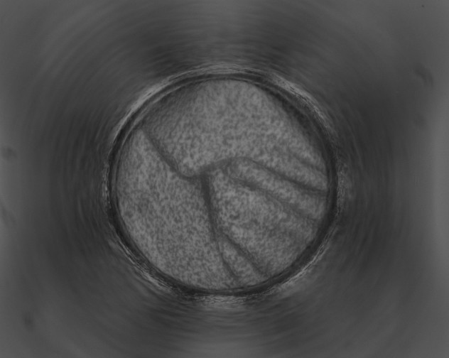 X0000090501170200708031202