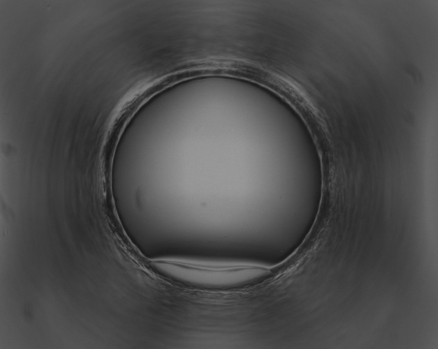 X0000090501172200708031202