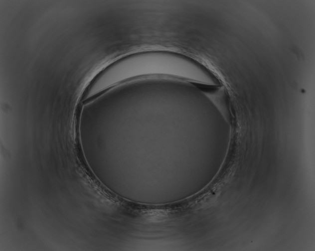 X0000090501173200708031202