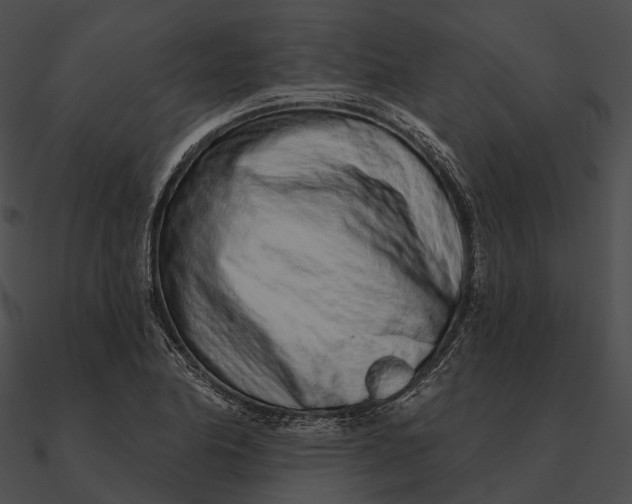 X0000090501174200708031202