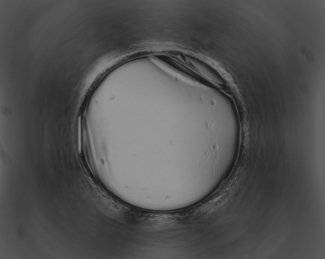 X0000090501175200708031202