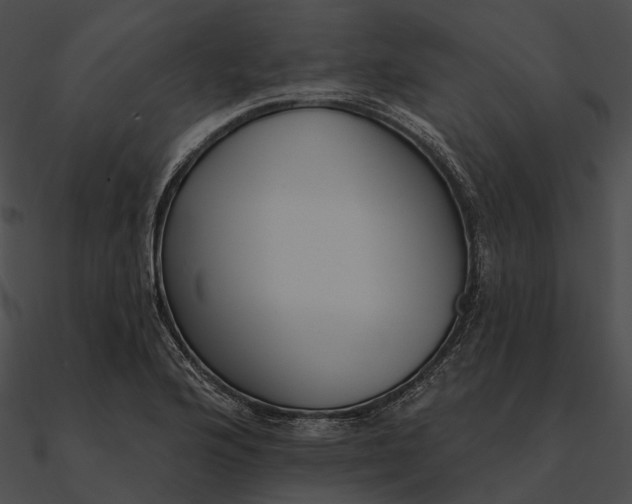 X0000090501176200708031202