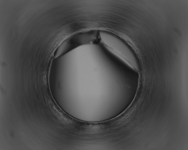 X0000090501177200708031202