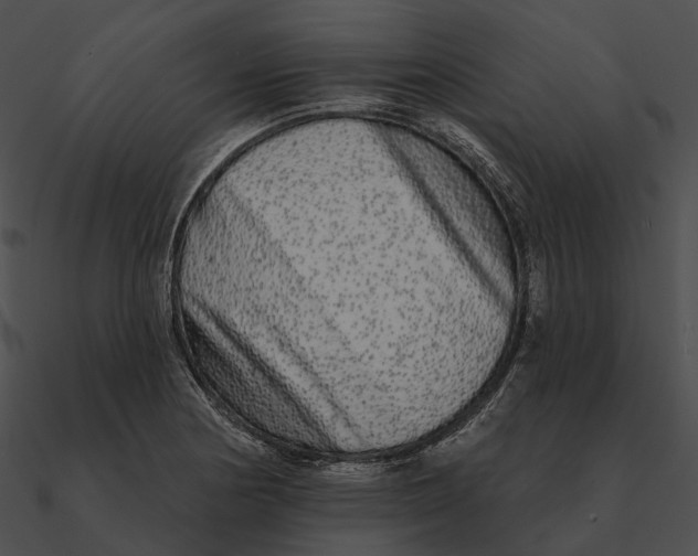 X0000090501178200708031202