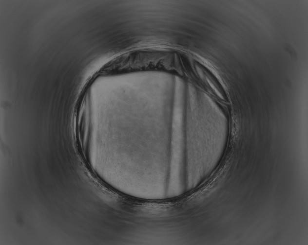 X0000090501179200708031202