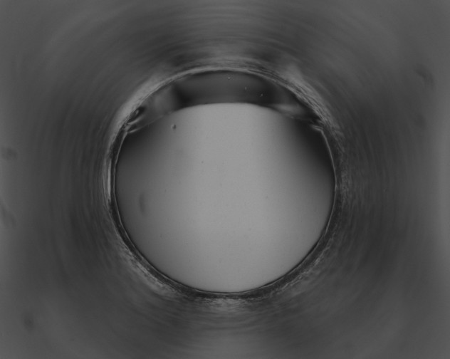 X0000090501180200708031202