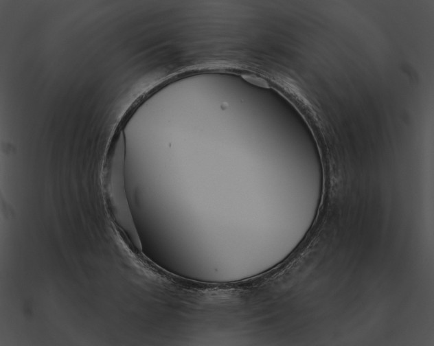 X0000090501181200708031202