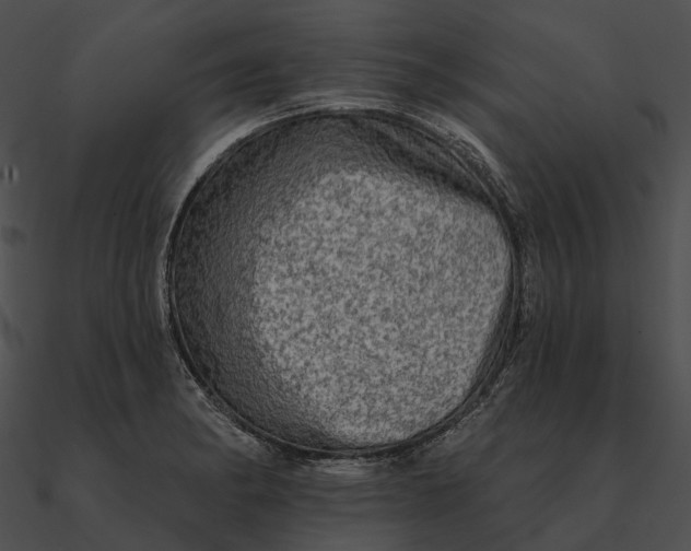 X0000090501182200708031202