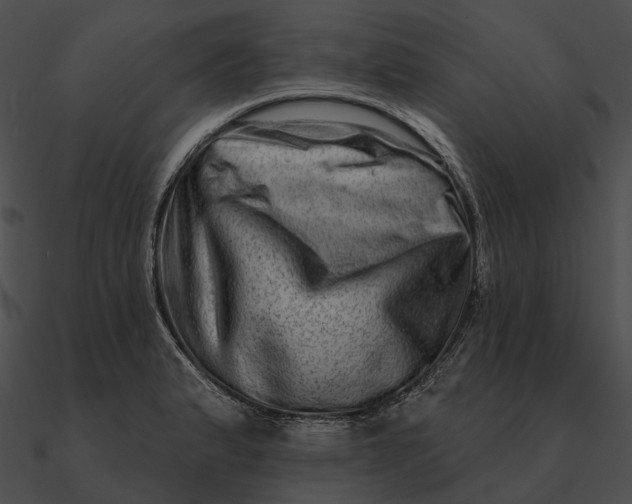 X0000090501183200708031202