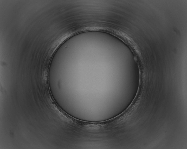 X0000090501185200708031202